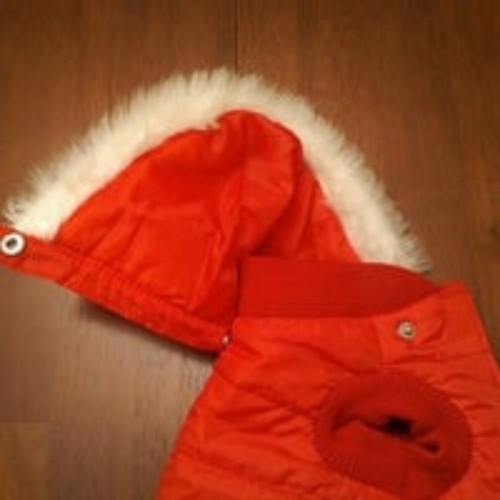 Dog Jacket, Martha Stewart Pets, Medium - Picture 7 of 8
